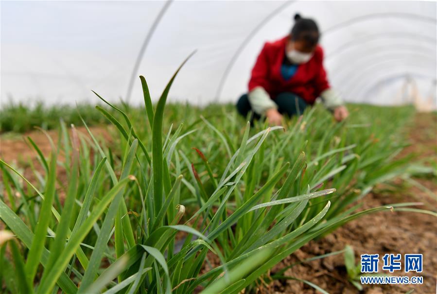 （圖文互動）（3）&ldquo;春天到了，熟悉的生活正在慢慢回來&rdquo;&mdash;&mdash;陜西多地復產復工一線見聞