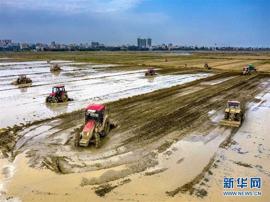 (圖文互動)讓“世界工廠”心不慌——廣東春耕生產(chǎn)見聞