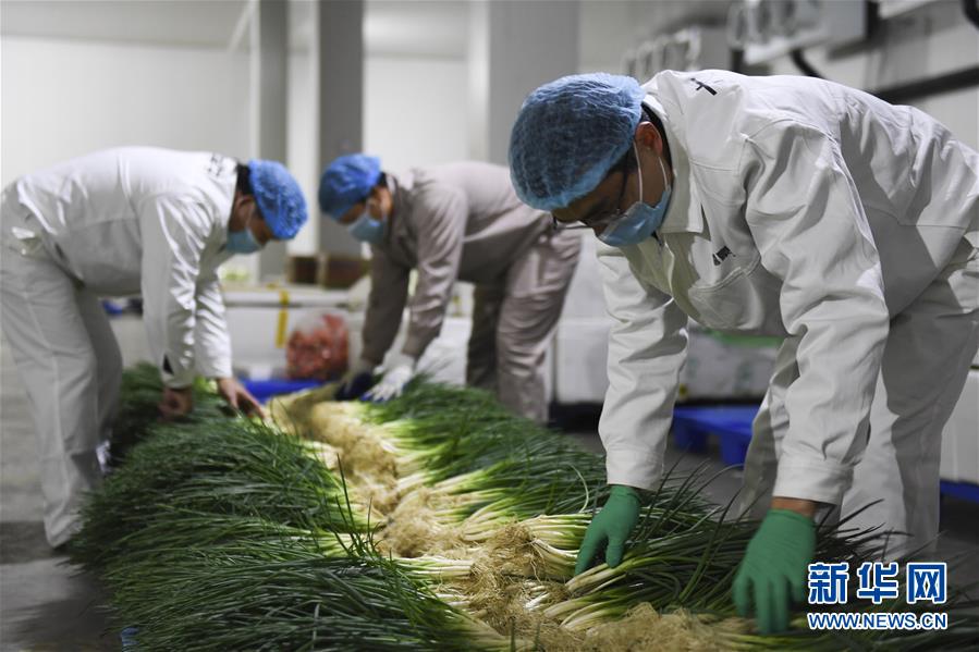 （圖文互動(dòng)）（6）&ldquo;早一天復(fù)工，損失就少一點(diǎn)&rdquo;&mdash;&mdash;廣西以精準(zhǔn)防控推動(dòng)復(fù)工復(fù)產(chǎn)一線見(jiàn)聞