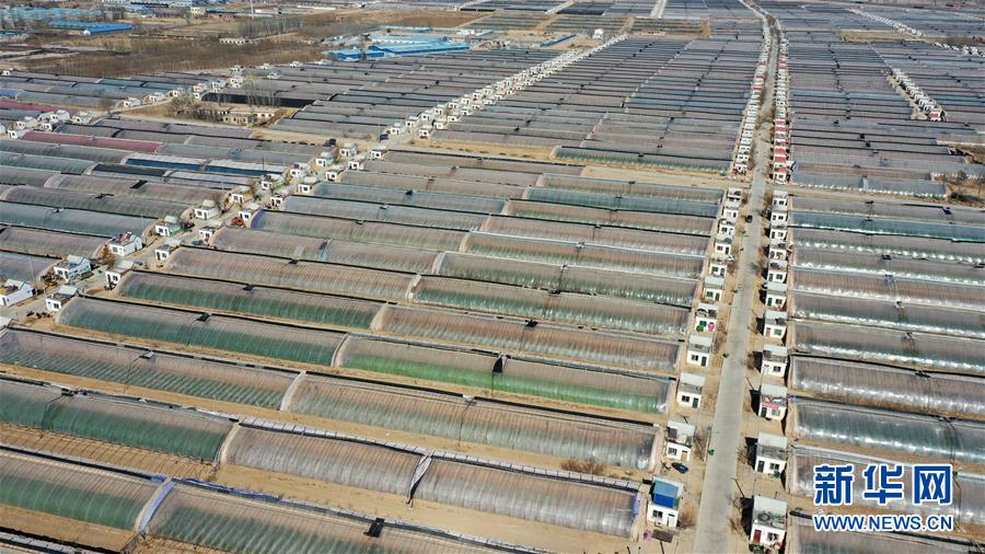 （在習(xí)近平新時代中國特色社會主義思想指引下&mdash;&mdash;新時代新作為新篇章&middot;習(xí)近平總書記關(guān)切事&middot;圖文互動）（4）戰(zhàn)&ldquo;疫&rdquo;戰(zhàn)&ldquo;貧&rdquo;都要贏&mdash;&mdash;脫貧攻堅(jiān)一線打響兩場硬仗