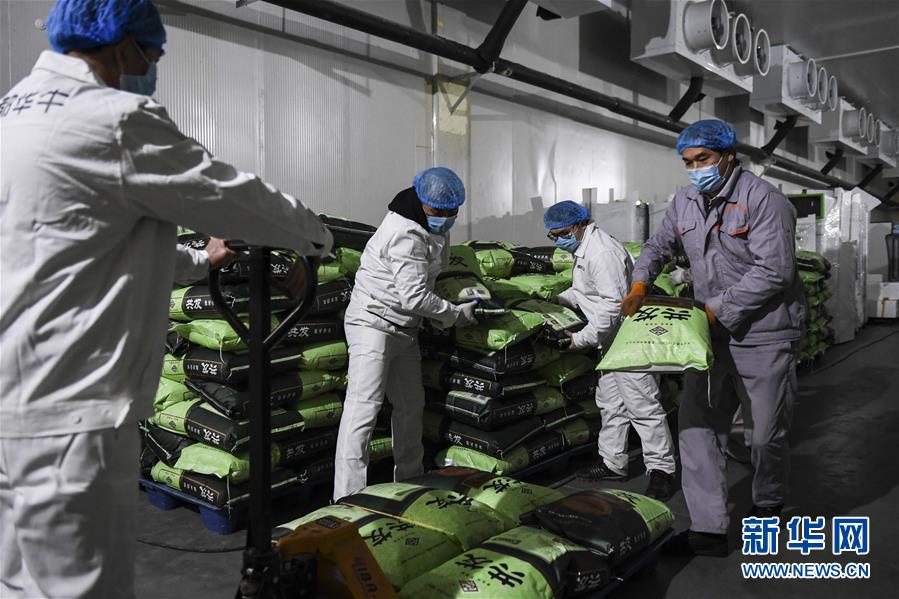 (抓好經(jīng)濟(jì)發(fā)展 應(yīng)對復(fù)雜局面·圖文互動(dòng))(1)“一企一策”解難題 大項(xiàng)目按下“加速器”——廣西精準(zhǔn)有序推動(dòng)項(xiàng)目開工復(fù)工