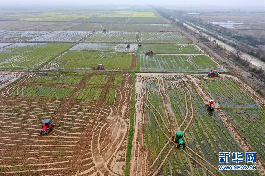 （抓好春耕備耕 穩(wěn)住農(nóng)業(yè)生產(chǎn)&middot;圖文互動(dòng)）（2）智能農(nóng)機(jī)、&ldquo;訂單&rdquo;服務(wù)、&ldquo;云端&rdquo;種菜&mdash;&mdash;來自江西的春耕&ldquo;新事&rdquo;