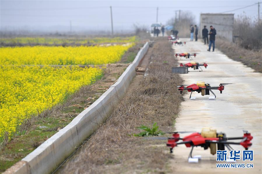 （抓好春耕備耕 穩(wěn)住農(nóng)業(yè)生產(chǎn)&middot;圖文互動(dòng)）（4）智能農(nóng)機(jī)、&ldquo;訂單&rdquo;服務(wù)、&ldquo;云端&rdquo;種菜&mdash;&mdash;來自江西的春耕&ldquo;新事&rdquo;