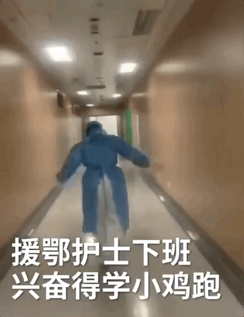 ������页