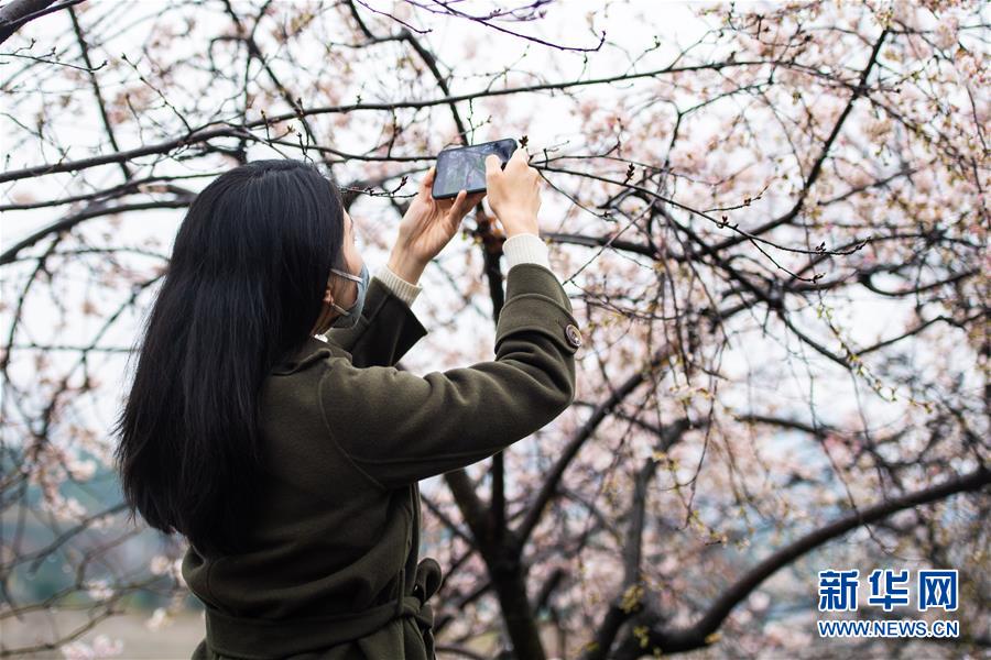 (圖文互動)(5)湖南:響應(yīng)降級 經(jīng)濟提速 防控不松