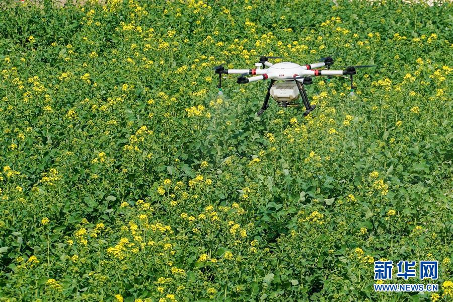 （在習(xí)近平新時代中國特色社會主義思想指引下&mdash;&mdash;新時代新作為新篇章&middot;習(xí)近平總書記關(guān)切事&middot;圖文互動）（17）精準(zhǔn)發(fā)力抓統(tǒng)籌&mdash;&mdash;各地落實&ldquo;分區(qū)分級&rdquo;有序恢復(fù)生產(chǎn)生活