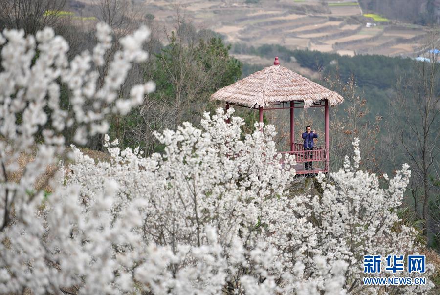 (新華全媒頭條·圖文互動)(6)奔向新的幸福——陜西貧困縣全部摘帽的N個截面