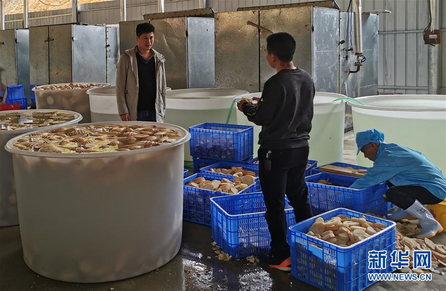 （決戰(zhàn)決勝脫貧攻堅(jiān)&middot;圖文互動(dòng)）掛牌督戰(zhàn)，一個(gè)都不能少&mdash;&mdash;江西確保剩余9.6萬貧困人口全部脫貧