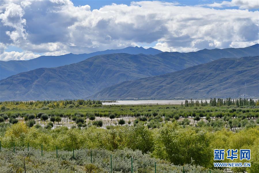 （圖文互動(dòng)）（4）&ldquo;今天的生活，就像夢(mèng)里夢(mèng)到那樣甜&rdquo;&mdash;&mdash;寫在西藏百萬農(nóng)奴解放61周年之際