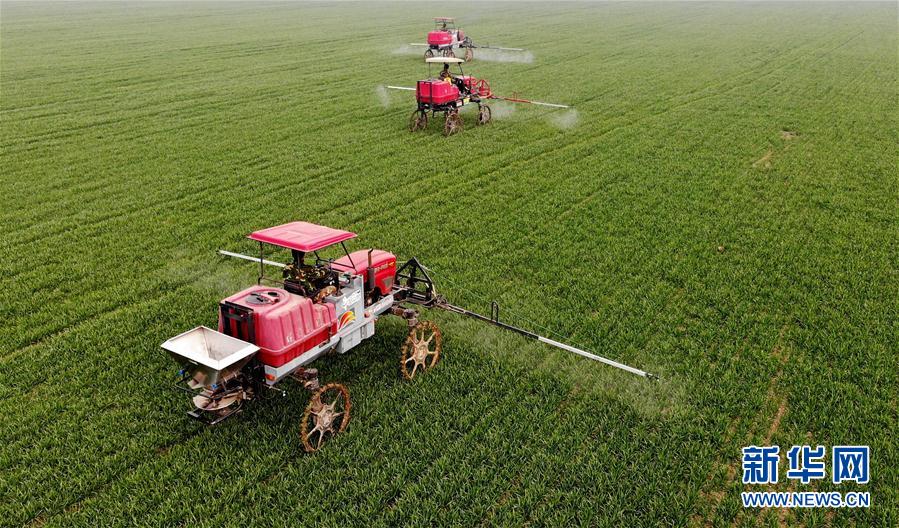 （新華全媒頭條&middot;圖文互動）（3）春天，匯聚復蘇的力量&mdash;&mdash;寫在2020年首季中國經(jīng)濟收官之際