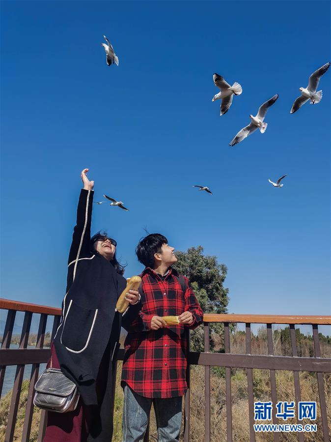 （一線抗疫群英譜&middot;圖文互動(dòng)）（1）大學(xué)生志愿者譚藝西：在武漢，我和媽媽共戰(zhàn)&ldquo;疫&rdquo;