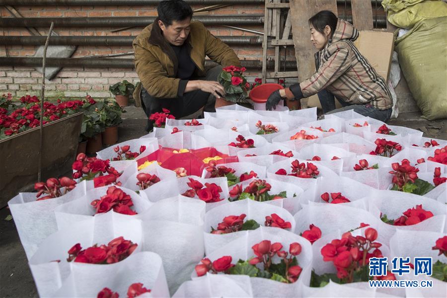 （在習(xí)近平新時(shí)代中國(guó)特色社會(huì)主義思想指引下&mdash;&mdash;新時(shí)代新作為新篇章&middot;習(xí)近平總書(shū)記關(guān)切事&middot;圖文互動(dòng)）（1）希望的田野，希望的春天&mdash;&mdash;各地農(nóng)業(yè)生產(chǎn)新動(dòng)態(tài)掃描