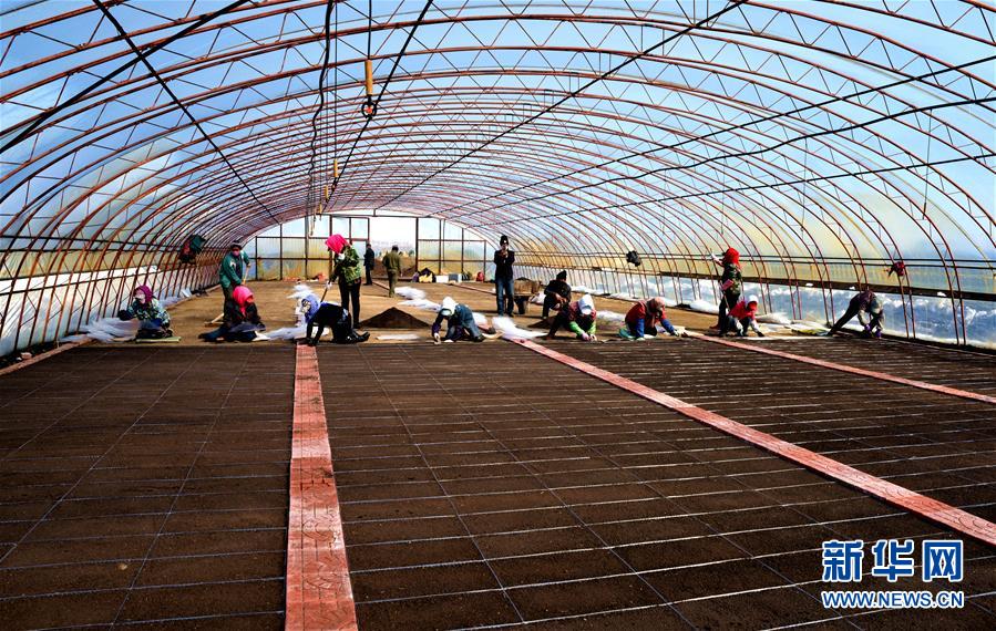 （在習(xí)近平新時(shí)代中國(guó)特色社會(huì)主義思想指引下&mdash;&mdash;新時(shí)代新作為新篇章&middot;習(xí)近平總書(shū)記關(guān)切事&middot;圖文互動(dòng)）（5）希望的田野，希望的春天&mdash;&mdash;各地農(nóng)業(yè)生產(chǎn)新動(dòng)態(tài)掃描