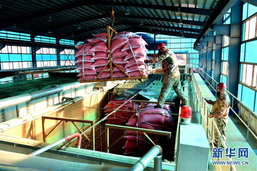 （在習(xí)近平新時(shí)代中國(guó)特色社會(huì)主義思想指引下&mdash;&mdash;新時(shí)代新作為新篇章&middot;習(xí)近平總書(shū)記關(guān)切事&middot;圖文互動(dòng)）（6）希望的田野，希望的春天&mdash;&mdash;各地農(nóng)業(yè)生產(chǎn)新動(dòng)態(tài)掃描