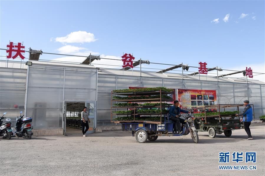 (決戰(zhàn)決勝脫貧攻堅(jiān)·圖文互動(dòng))(9)決戰(zhàn)昆侖——新疆聚焦10個(gè)未摘帽縣展開深度貧困攻堅(jiān)戰(zhàn)