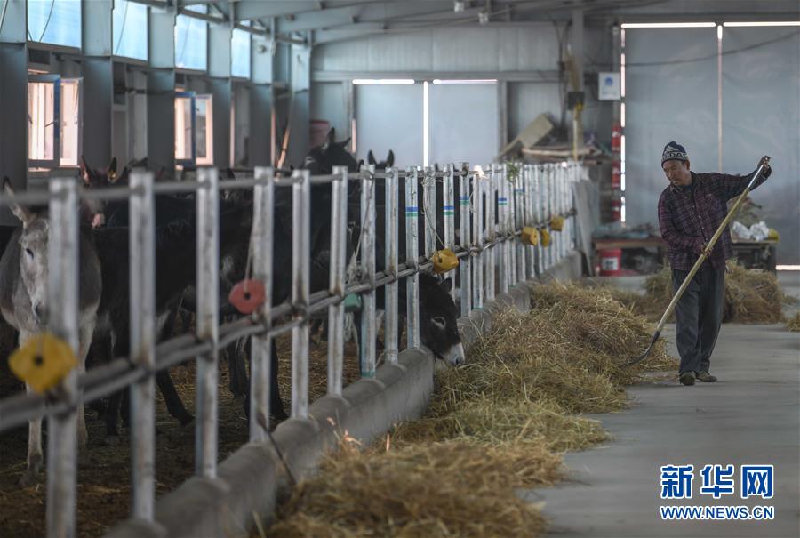 (決戰(zhàn)決勝脫貧攻堅(jiān)·圖文互動(dòng))(12)決戰(zhàn)昆侖——新疆聚焦10個(gè)未摘帽縣展開深度貧困攻堅(jiān)戰(zhàn)