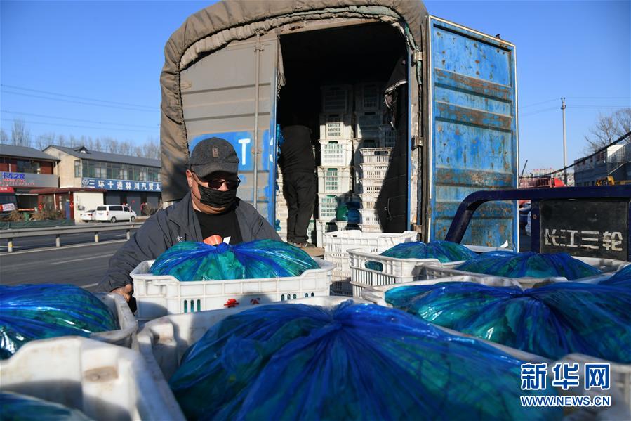 (在習(xí)近平新時(shí)代中國(guó)特色社會(huì)主義思想指引下——新時(shí)代新作為新篇章·習(xí)近平總書(shū)記關(guān)切事·圖文互動(dòng))(3)抗疫之下 保供無(wú)憂