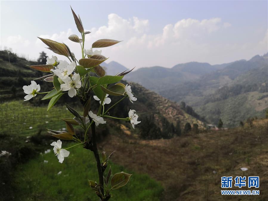 （決戰(zhàn)決勝脫貧攻堅(jiān)&middot;圖文互動(dòng)）（1）寄相思，償夙愿&mdash;&mdash;5封清明&ldquo;家書&rdquo;里的決戰(zhàn)決勝信念