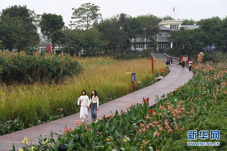 (新華全媒頭條·圖文互動)(4)為有源頭清水來——深圳“馴水記”