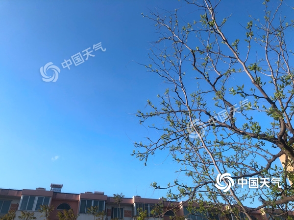 陣風8級！北京遭遇雨后大降溫 北風勁吹需添衣