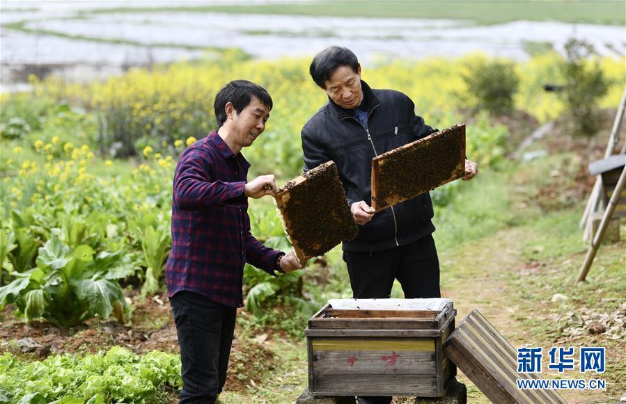 (決戰(zhàn)決勝脫貧攻堅(jiān)·圖文互動(dòng))(2)一位農(nóng)民的產(chǎn)業(yè)扶貧成績單