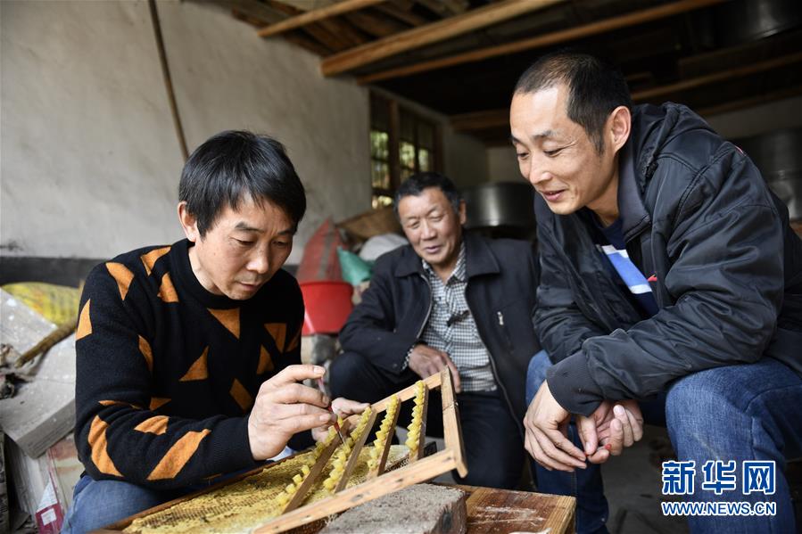 (決戰(zhàn)決勝脫貧攻堅(jiān)·圖文互動(dòng))(3)一位農(nóng)民的產(chǎn)業(yè)扶貧成績單