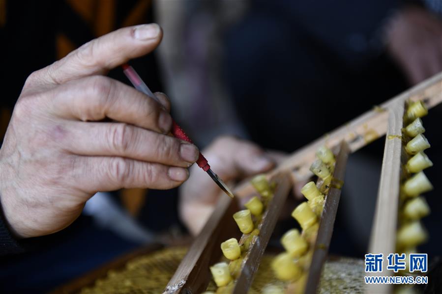 (決戰(zhàn)決勝脫貧攻堅(jiān)·圖文互動(dòng))(4)一位農(nóng)民的產(chǎn)業(yè)扶貧成績單