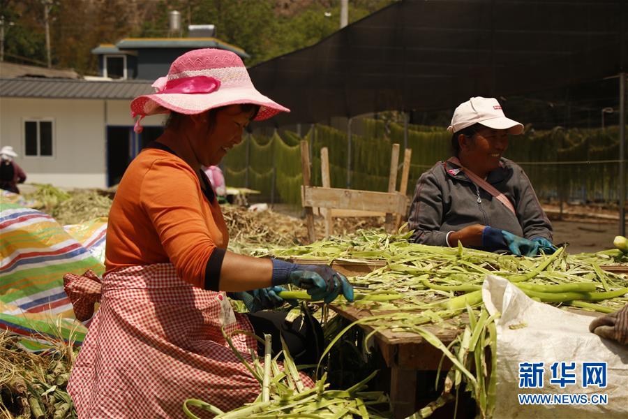 (在習(xí)近平新時(shí)代中國特色社會(huì)主義思想指引下——新時(shí)代新作為新篇章·習(xí)近平總書記關(guān)切事·圖文互動(dòng))(4)啃下最后的硬骨頭——脫貧攻堅(jiān)掛牌督戰(zhàn)進(jìn)行時(shí)