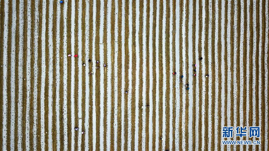 (在習(xí)近平新時(shí)代中國特色社會(huì)主義思想指引下——新時(shí)代新作為新篇章·習(xí)近平總書記關(guān)切事·圖文互動(dòng))(6)啃下最后的硬骨頭——脫貧攻堅(jiān)掛牌督戰(zhàn)進(jìn)行時(shí)