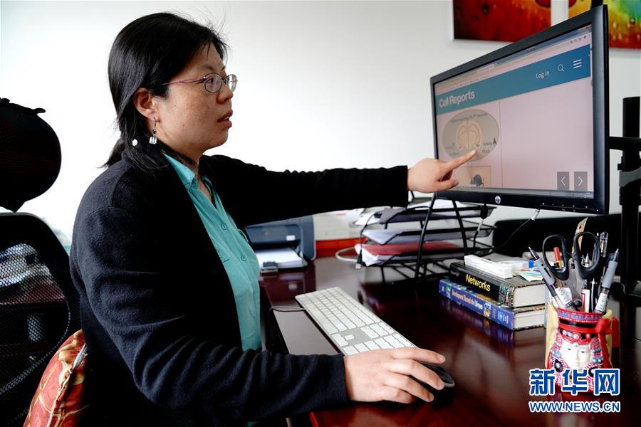 （圖文互動(dòng)）（1）攻擊行為如何被大腦控制？科學(xué)家在小鼠大腦中發(fā)現(xiàn)&ldquo;調(diào)節(jié)開關(guān)&rdquo;