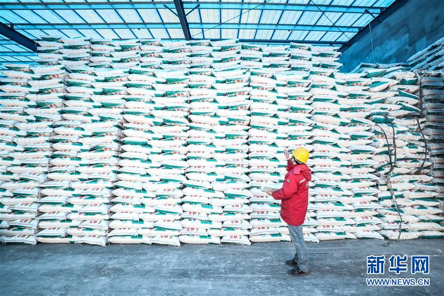 (在習(xí)近平新時(shí)代中國特色社會(huì)主義思想指引下——新時(shí)代新作為新篇章·習(xí)近平總書記關(guān)切事·圖文互動(dòng))(4)春耕忙 信心足——谷雨時(shí)節(jié)走馬東北直擊糧事