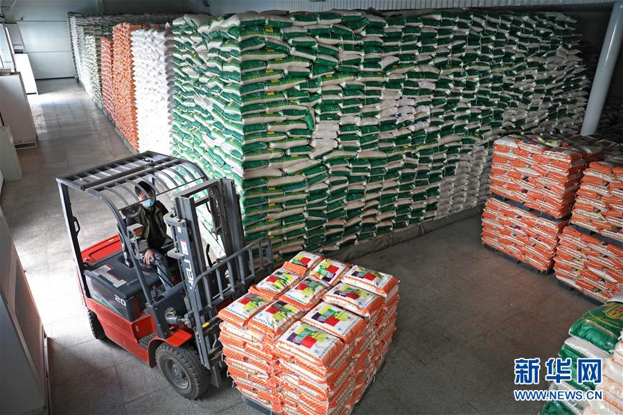 (在習(xí)近平新時(shí)代中國特色社會(huì)主義思想指引下——新時(shí)代新作為新篇章·習(xí)近平總書記關(guān)切事·圖文互動(dòng))(9)春耕忙 信心足——谷雨時(shí)節(jié)走馬東北直擊糧事