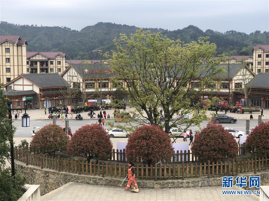 （圖文互動）（1）柏楊林的&ldquo;樣板間&rdquo;