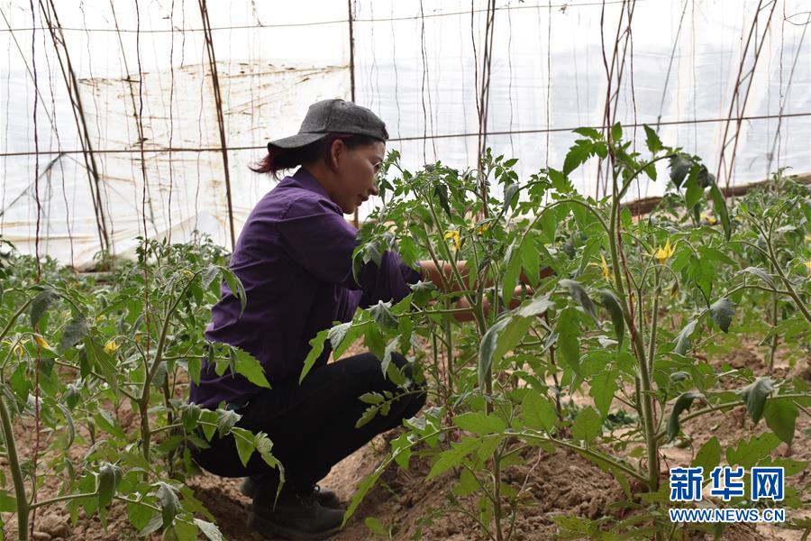 (圖文互動)(2)“桃花源”里話豐年 ——帕米爾山區(qū)一處扶貧搬遷點見聞