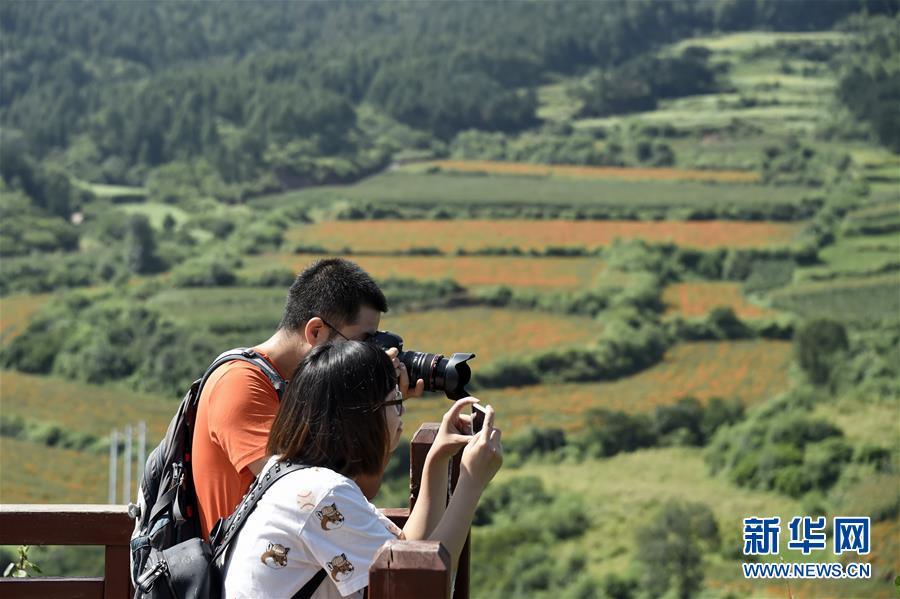 （圖文互動）（1）這座小城，鐫刻下怎樣的&ldquo;世園印記&rdquo;&mdash;&mdash;北京世園會開園一周年探訪延慶