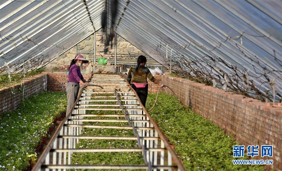 （圖文互動）（2）這座小城，鐫刻下怎樣的&ldquo;世園印記&rdquo;&mdash;&mdash;北京世園會開園一周年探訪延慶