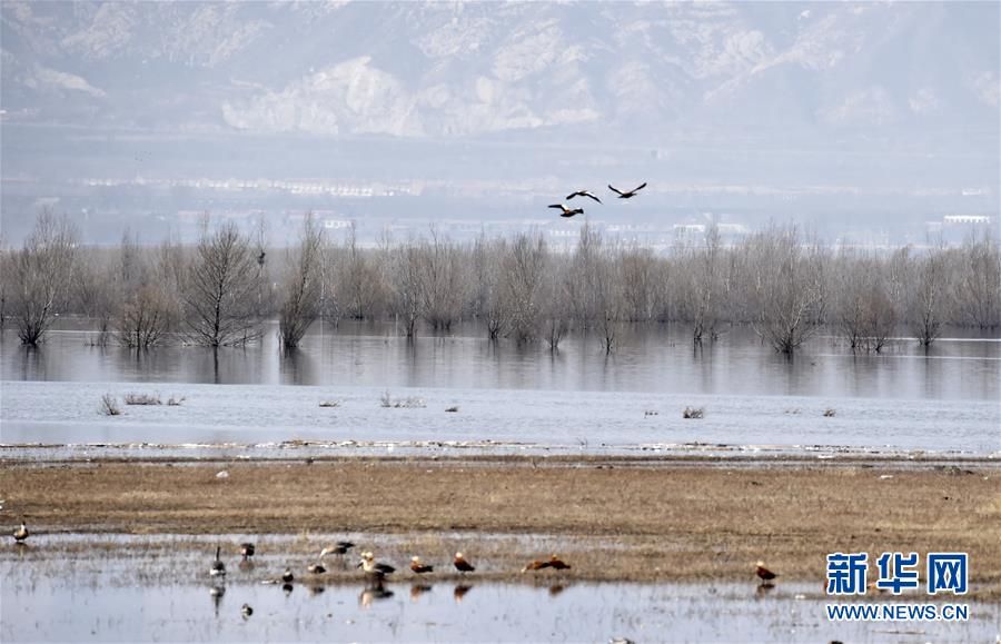（圖文互動）（3）這座小城，鐫刻下怎樣的&ldquo;世園印記&rdquo;&mdash;&mdash;北京世園會開園一周年探訪延慶