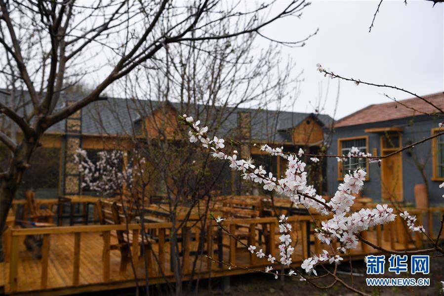 （圖文互動(dòng)）（6）&ldquo;疫&rdquo;去客來(lái)會(huì)有時(shí)&mdash;&mdash;新疆伊犁河谷旅游市場(chǎng)漸暖見(jiàn)聞