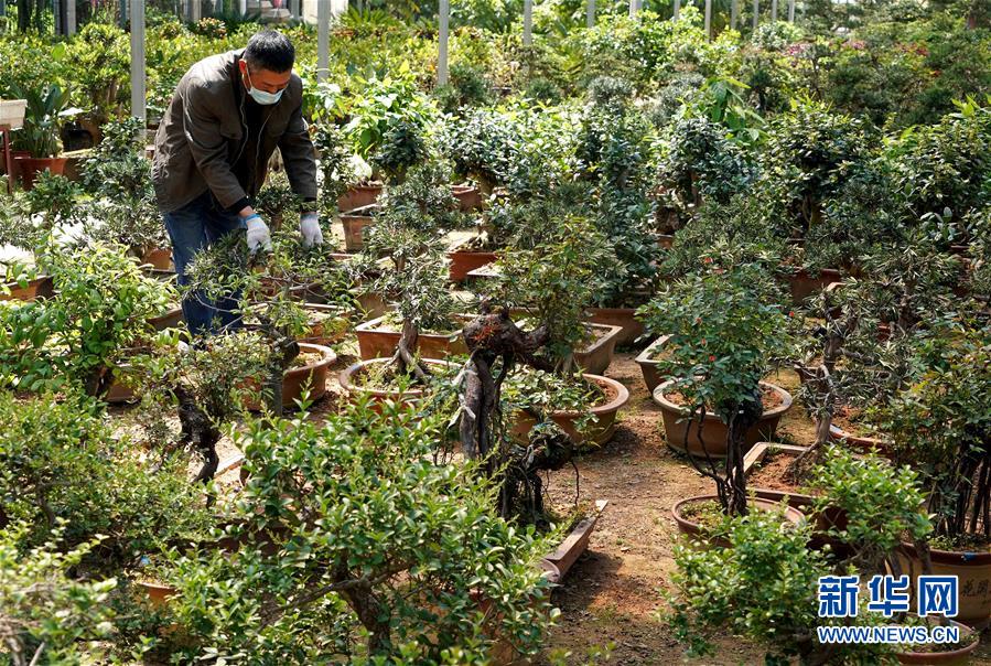 （來自一線的調查報告&middot;圖文互動）（7）搶出一個身位謀發(fā)展&mdash;&mdash;河南許昌經濟復蘇見聞