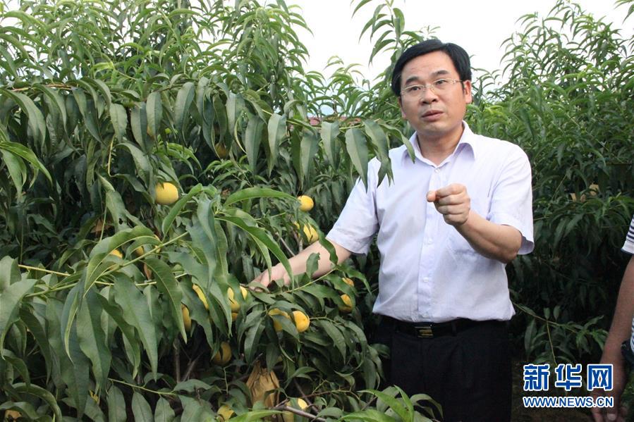 （圖文互動(dòng)）（2）&ldquo;為脫貧而來，為脫貧而去&rdquo;&mdash;&mdash;追記湖南炎陵縣委原書記黃詩燕 