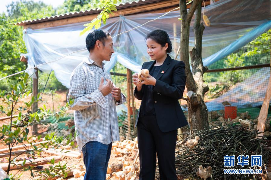 (圖文互動)(1)扶貧干部唐華容:治疾病也治“窮病”