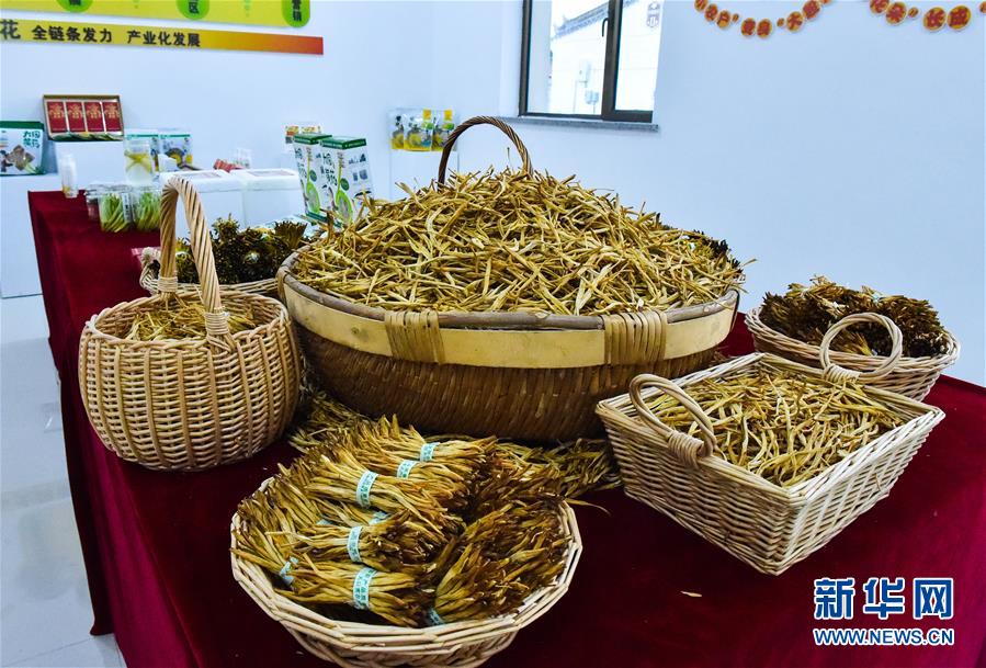 （新華全媒頭條&middot;圖文互動）（3）初夏，循著總書記的腳步探訪產業(yè)扶貧新事