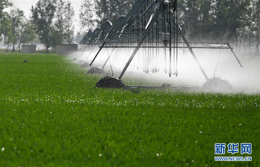 （在習(xí)近平新時(shí)代中國(guó)特色社會(huì)主義思想指引下&mdash;&mdash;新時(shí)代新作為新篇章&middot;習(xí)近平總書記關(guān)切事&middot;圖文互動(dòng)）（3）新農(nóng)事、新希望&mdash;&mdash;夏收前田間新動(dòng)態(tài)掃描