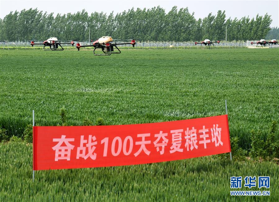 （在習(xí)近平新時(shí)代中國(guó)特色社會(huì)主義思想指引下&mdash;&mdash;新時(shí)代新作為新篇章&middot;習(xí)近平總書記關(guān)切事&middot;圖文互動(dòng)）（9）新農(nóng)事、新希望&mdash;&mdash;夏收前田間新動(dòng)態(tài)掃描