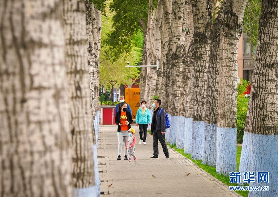 (聚焦疫情防控)(1)黑龍江:新冠肺炎無癥狀感染者“清零”