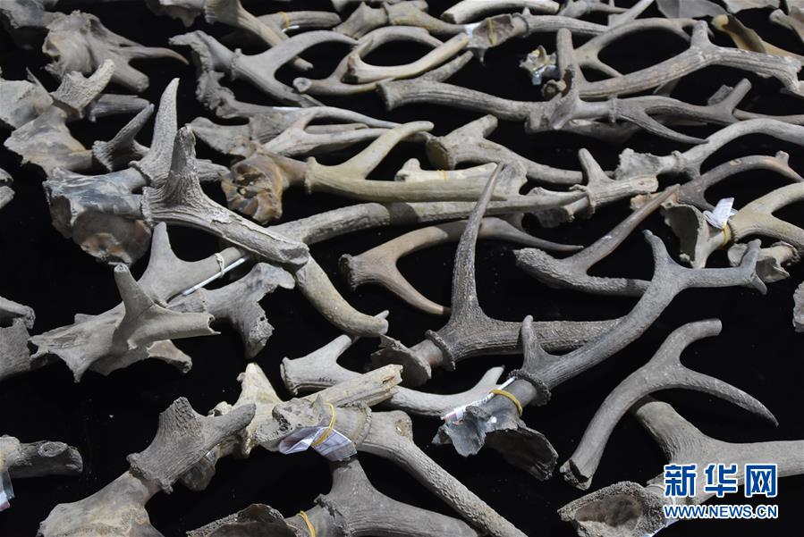 (圖文互動(dòng))(2)浙江余姚發(fā)現(xiàn)早于河姆渡文化1000年的史前遺址