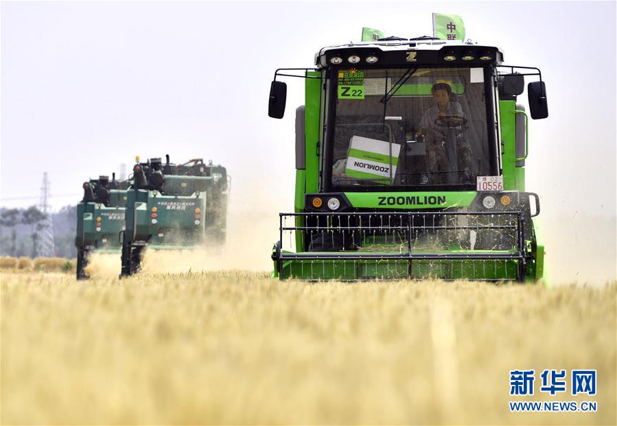 （在習近平新時代中國特色社會主義思想指引下&mdash;&mdash;新時代新作為新篇章&middot;習近平總書記關切事&middot;圖文互動）（12）讓農民挑上&ldquo;金扁擔&rdquo;&mdash;&mdash;農業(yè)現(xiàn)代化的生動實踐掃描