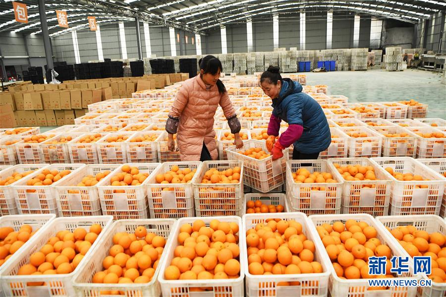 （新華全媒頭條&middot;圖文互動(dòng)）（6）待到滿山紅葉時(shí)&mdash;&mdash;三峽重慶庫(kù)區(qū)踐行新發(fā)展理念面面觀