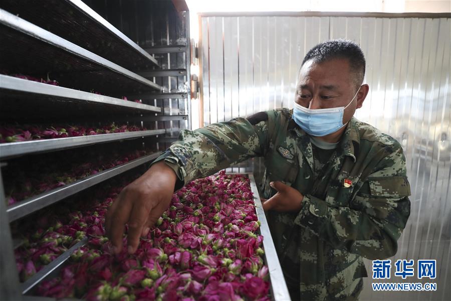 (熱點(diǎn)鮮報(bào)·走向我們的小康生活·圖文互動(dòng))(2)你沒(méi)聽過(guò)的伊瑪堪——“北大倉(cāng)”里話小康之三