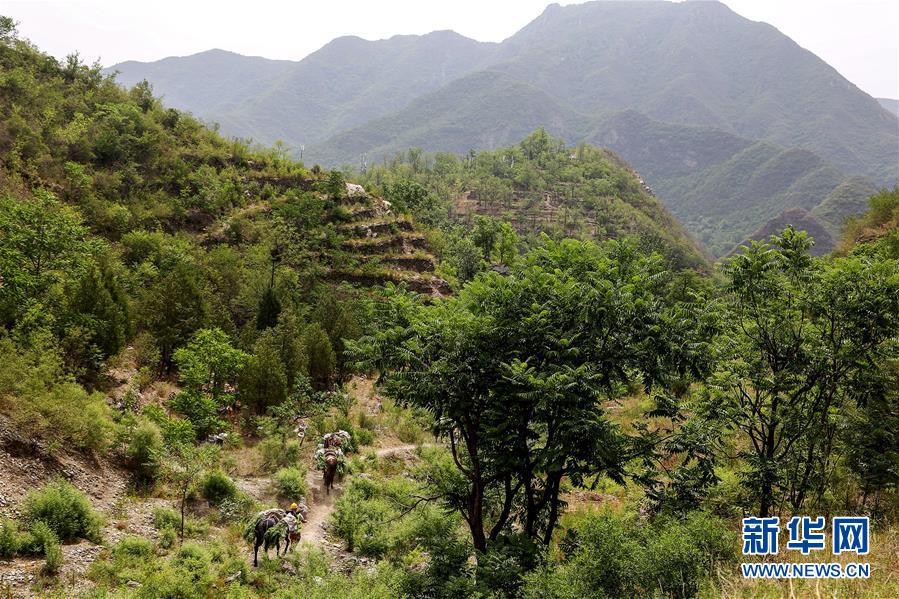 (圖文互動)(2)北京:治沙20載 逾854萬畝林海拒風沙